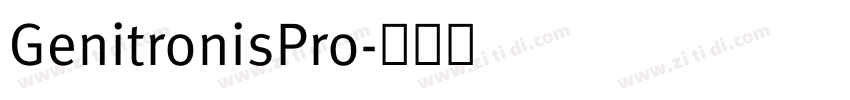GenitronisPro字体转换