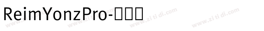 ReimYonzPro字体转换