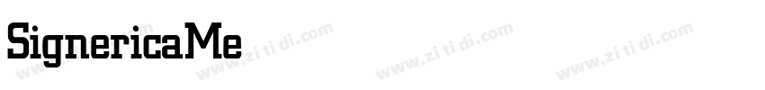 SignericaMedium字体转换
