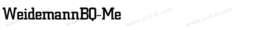 WeidemannBQ-Medium字体转换 WeidemannBQ-Medium字体转换