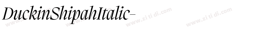 DuckinShipahItalic字体转换