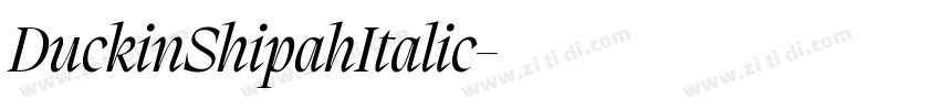 DuckinShipahItalic字体转换