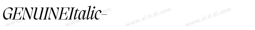 GENUINEItalic字体转换 GENUINEItalic字体转换
