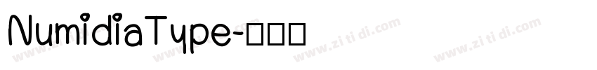 NumidiaType字体转换