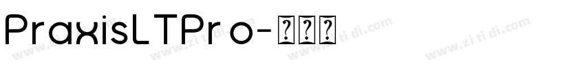 PraxisLTPro字体转换