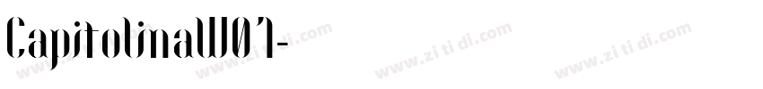CapitolinaW01字体转换