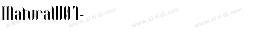 MaturaW01字体转换