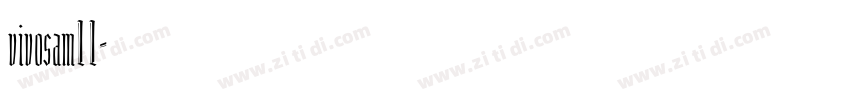 vivosam11字体转换