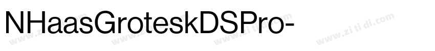 NHaasGroteskDSPro字体转换 NHaasGroteskDSPro字体转换