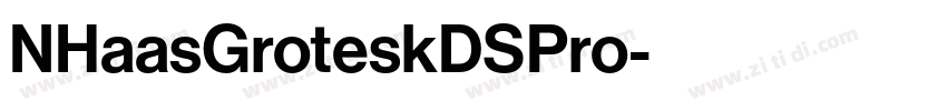 NHaasGroteskDSPro字体转换 NHaasGroteskDSPro字体转换
