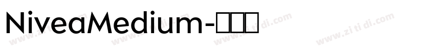 NiveaMedium字体转换