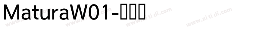 MaturaW01字体转换