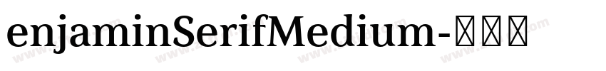 enjaminSerifMedium字体转换