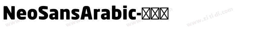 NeoSansArabic字体转换 NeoSansArabic字体转换