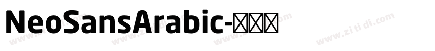 NeoSansArabic字体转换 NeoSansArabic字体转换