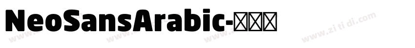 NeoSansArabic字体转换 NeoSansArabic字体转换