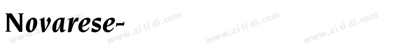 Novarese字体转换