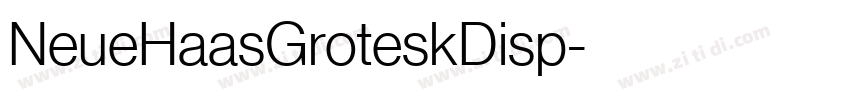 NeueHaasGroteskDisp字体转换 NeueHaasGroteskDisp字体转换