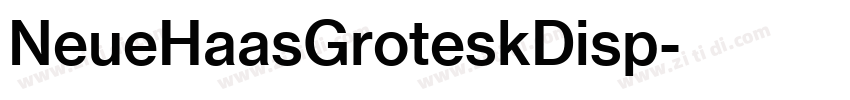 NeueHaasGroteskDisp字体转换 NeueHaasGroteskDisp字体转换
