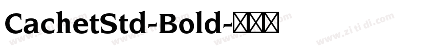 CachetStd-Bold字体转换