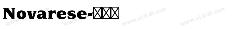 Novarese字体转换