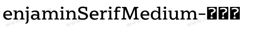 enjaminSerifMedium字体转换