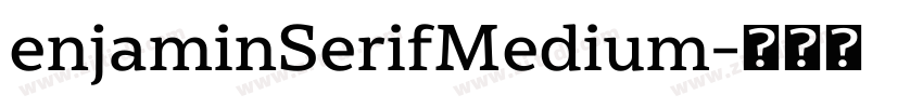 enjaminSerifMedium字体转换