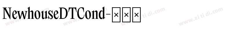 NewhouseDTCond字体转换