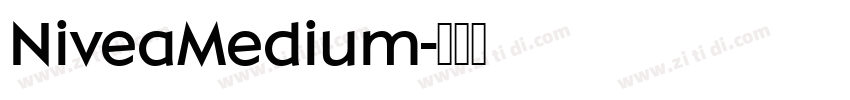 NiveaMedium字体转换