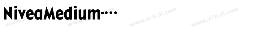 NiveaMedium字体转换