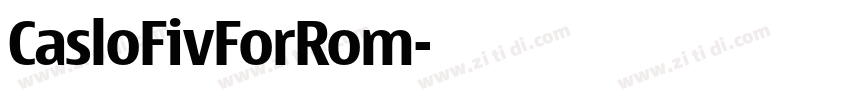 CasloFivForRom字体转换