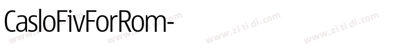 CasloFivForRom字体转换