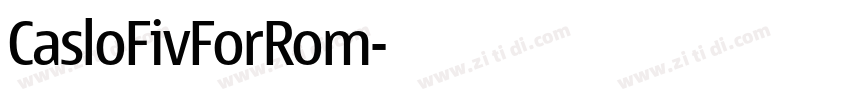 CasloFivForRom字体转换