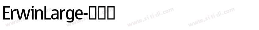 ErwinLarge字体转换