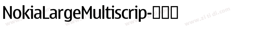 NokiaLargeMultiscrip字体转换 NokiaLargeMultiscrip字体转换