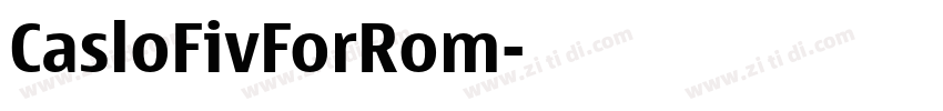 CasloFivForRom字体转换