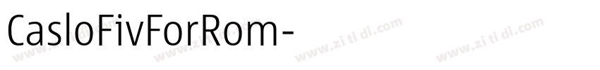 CasloFivForRom字体转换