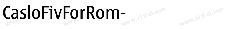 CasloFivForRom字体转换