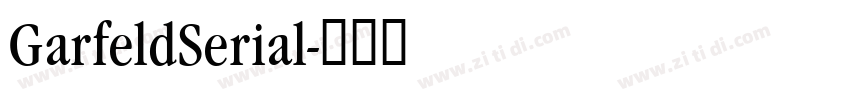 GarfeldSerial字体转换 GarfeldSerial字体转换