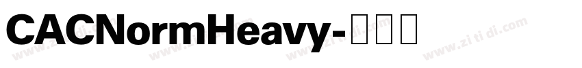 CACNormHeavy字体转换