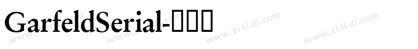 GarfeldSerial字体转换 GarfeldSerial字体转换