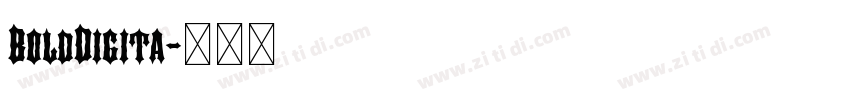BoldDigita字体转换 BoldDigita字体转换