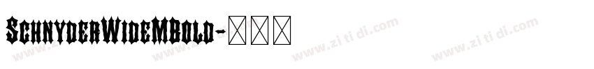 SchnyderWideMBold字体转换 SchnyderWideMBold字体转换