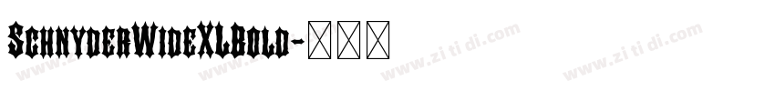SchnyderWideXLBold字体转换