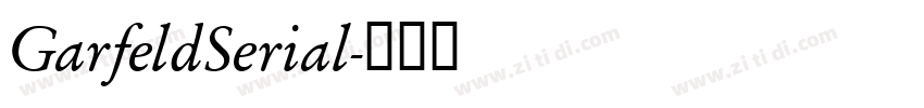 GarfeldSerial字体转换 GarfeldSerial字体转换