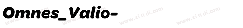 Omnes_Valio字体转换 Omnes_Valio字体转换