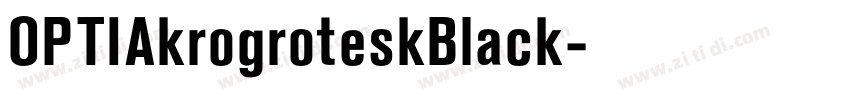 OPTIAkrogroteskBlack字体转换