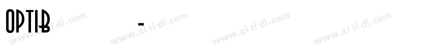 OPTIBrandenburg字体转换