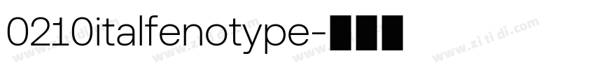 0210italfenotype字体转换