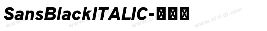 SansBlackITALIC字体转换 SansBlackITALIC字体转换